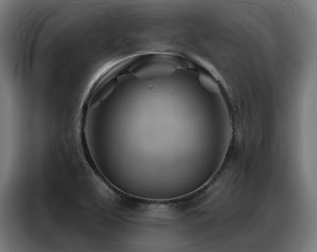X0000088381463200705221043