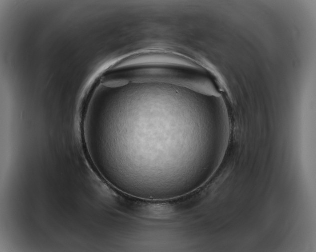 X0000088381464200705221043
