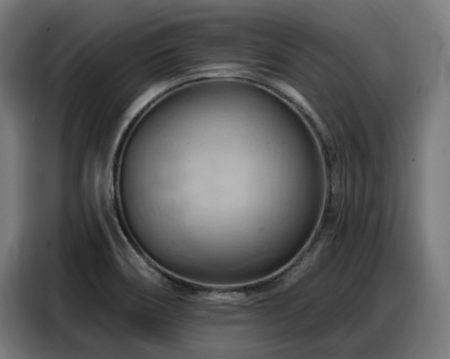 X0000088381466200705221043