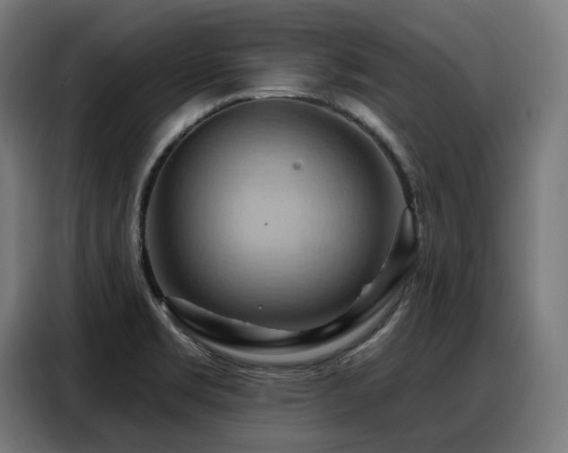 X0000088381469200705221043