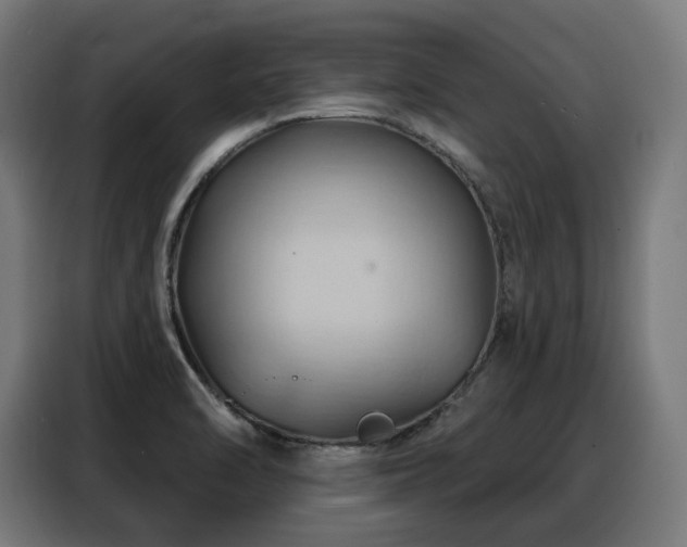 X0000088381470200705221043
