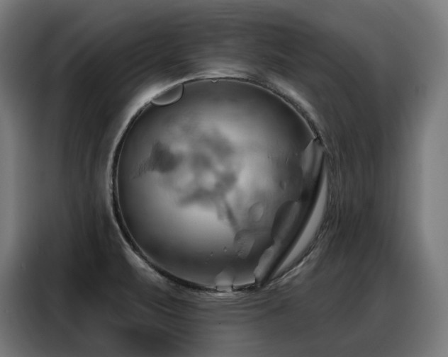 X0000088381471200705221043