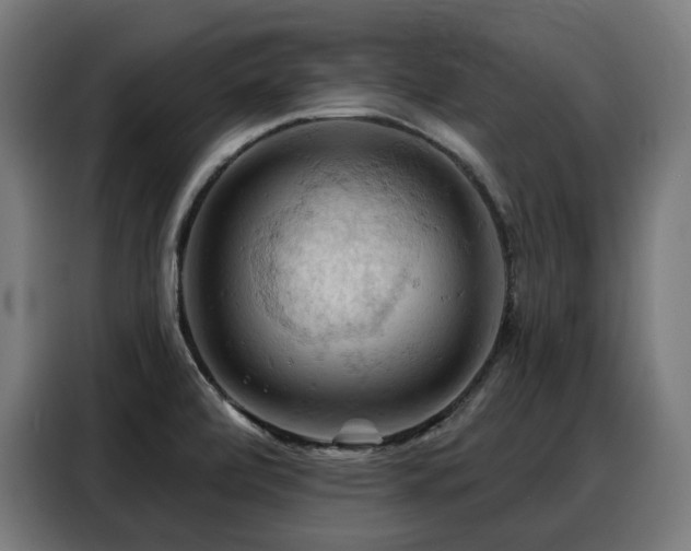 X0000088381472200705221043