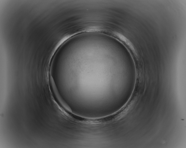 X0000088381473200705221043