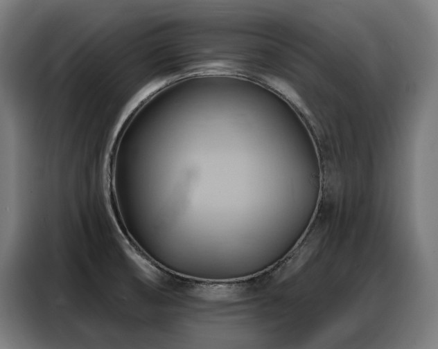 X0000088381474200705221043