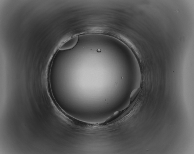 X0000088381475200705221043