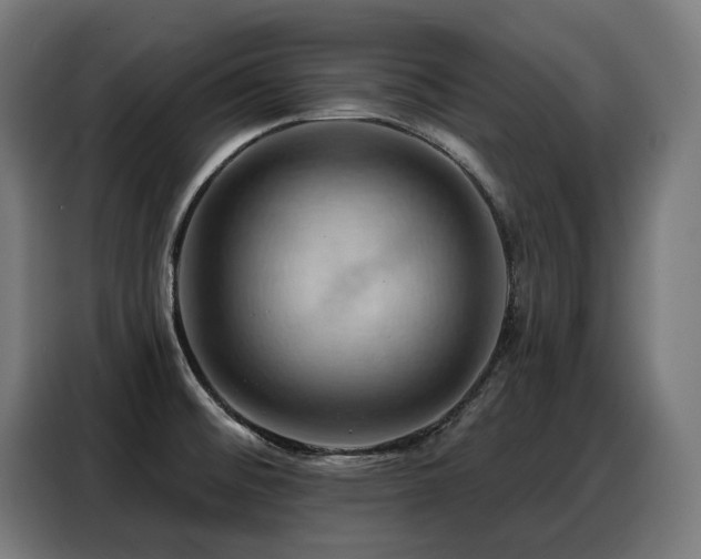 X0000088381476200705221043