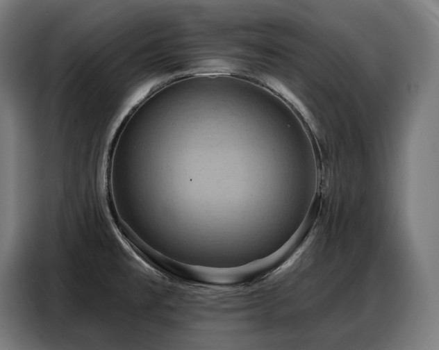 X0000088381477200705221043