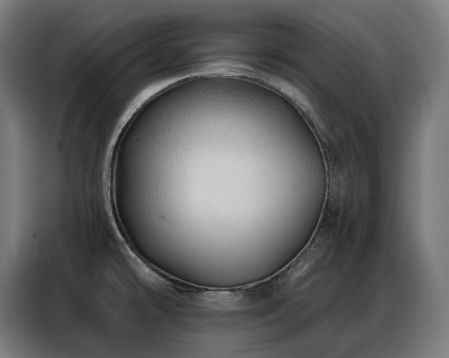 X0000088381478200705221043