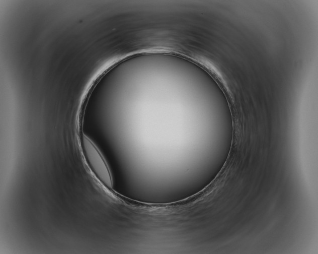 X0000088381480200705221043