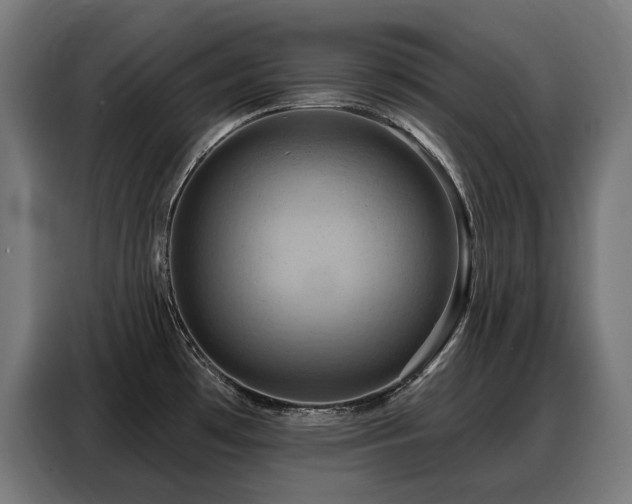 X0000088381481200705221043