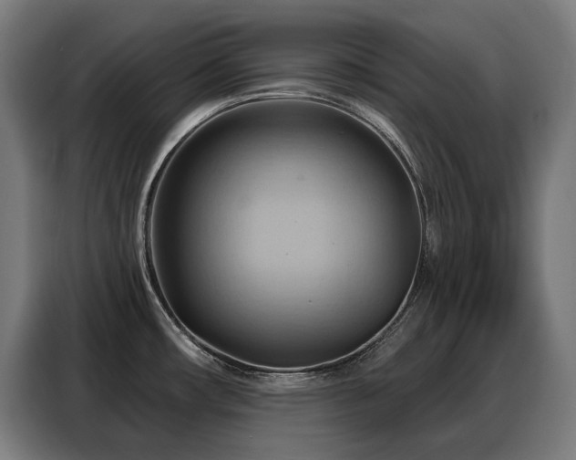 X0000088381482200705221043