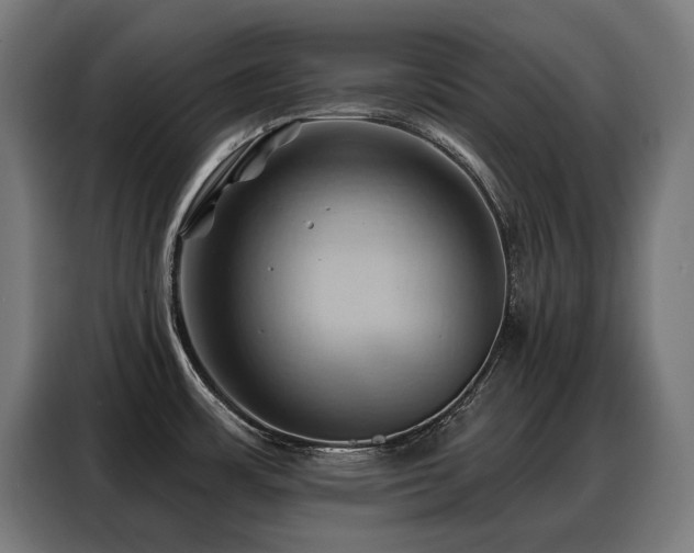X0000088381483200705221043