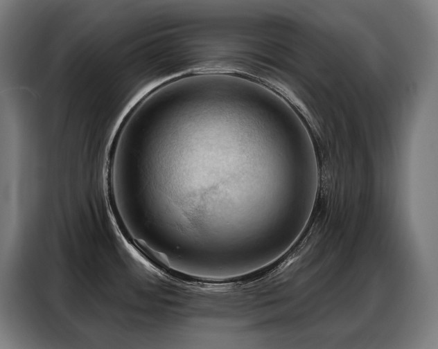 X0000088381484200705221043