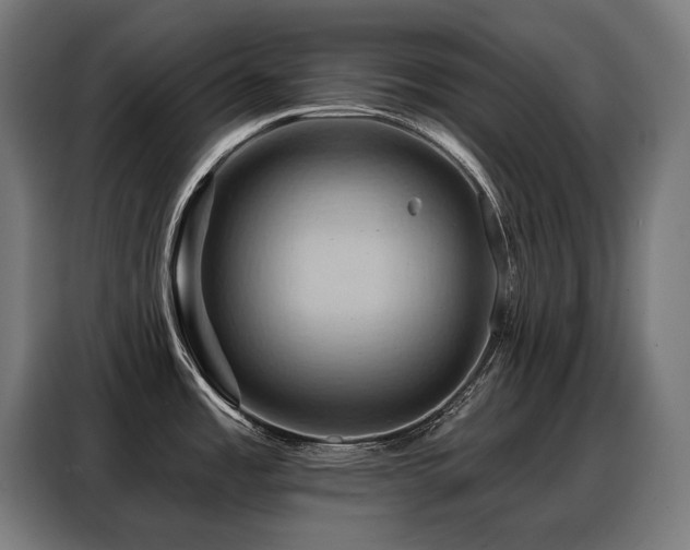 X0000088381485200705221043