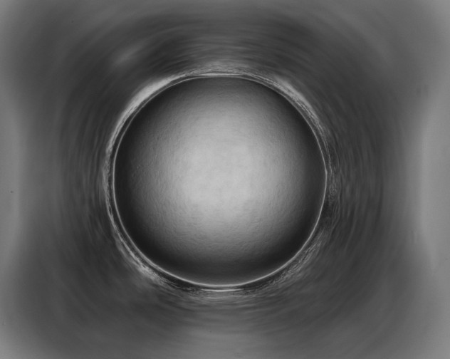 X0000088381486200705221043