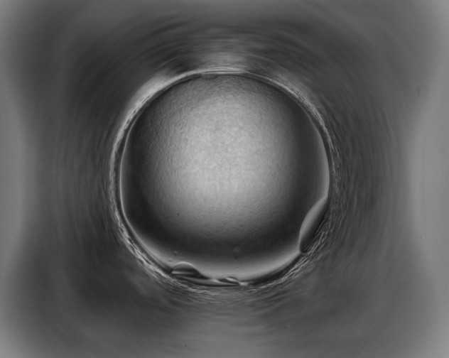 X0000088381488200705221043