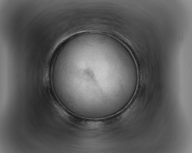 X0000088381498200705221043