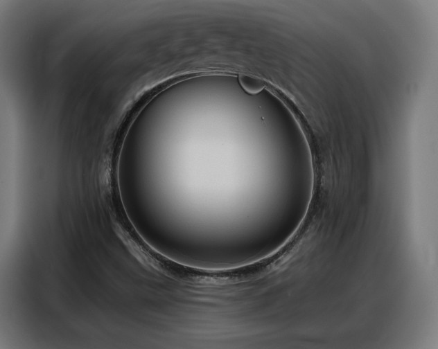 X0000088381499200705221043