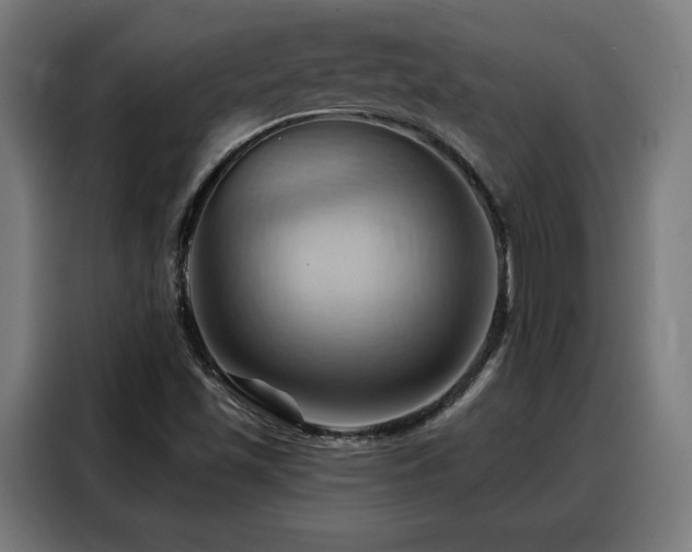 X0000088381501200705221043
