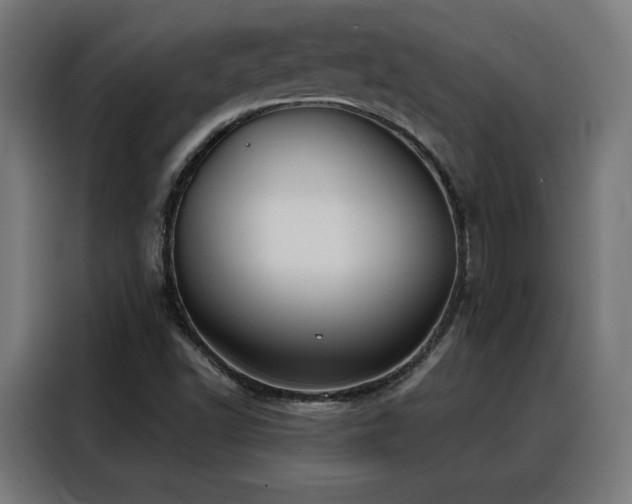 X0000088381502200705221043