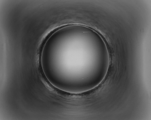 X0000088381503200705221043