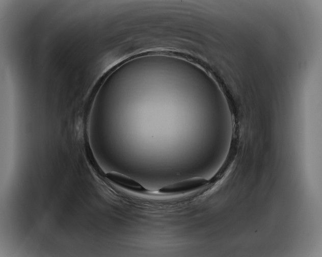 X0000088381505200705221043