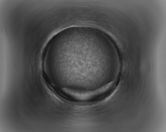 X0000088381506200705221043