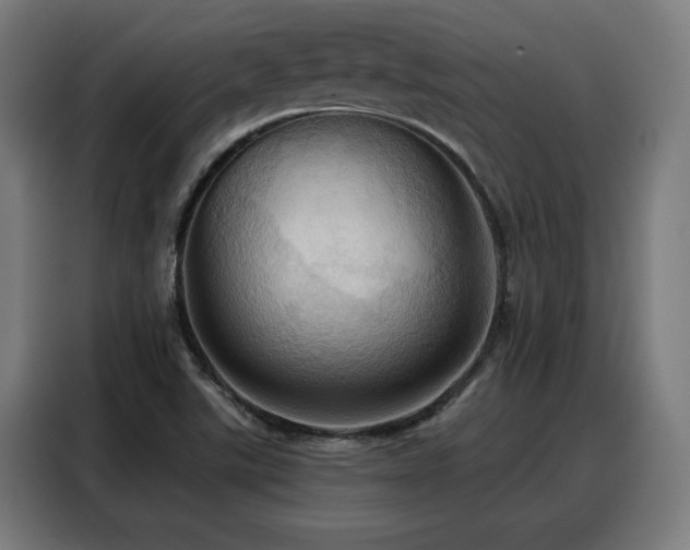 X0000088381507200705221043