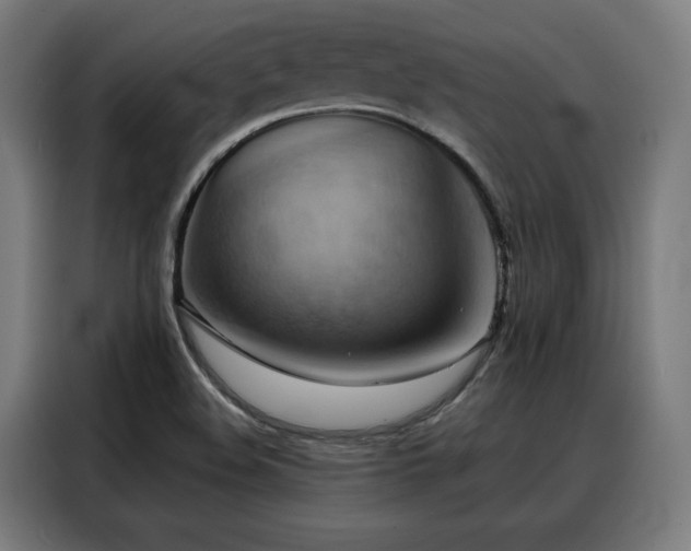 X0000088381508200705221043