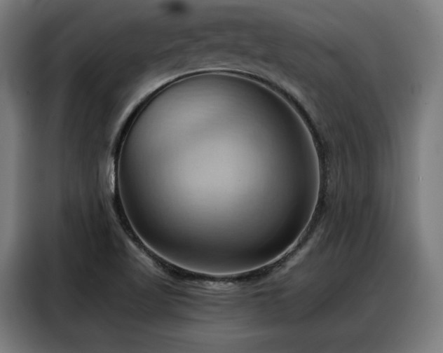 X0000088381509200705221043