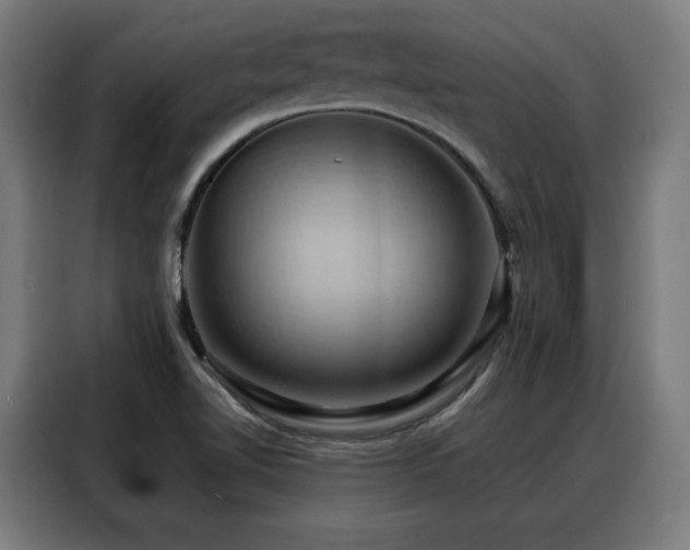 X0000088381510200705221043