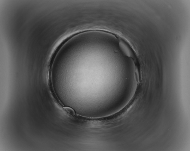X0000088381511200705221043