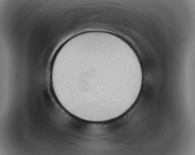 X0000088381514200705221043