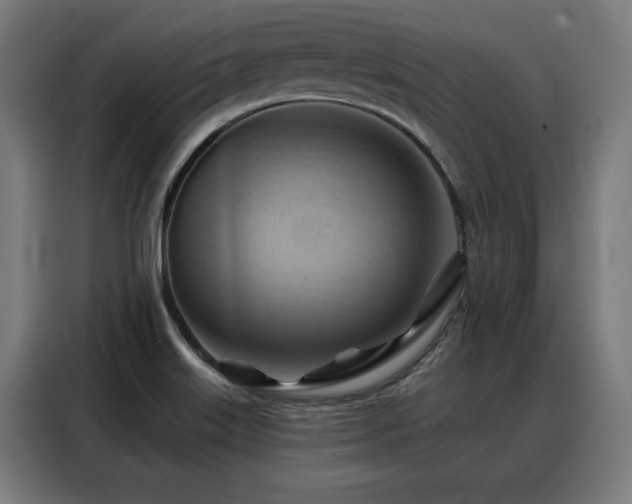 X0000088381515200705221043