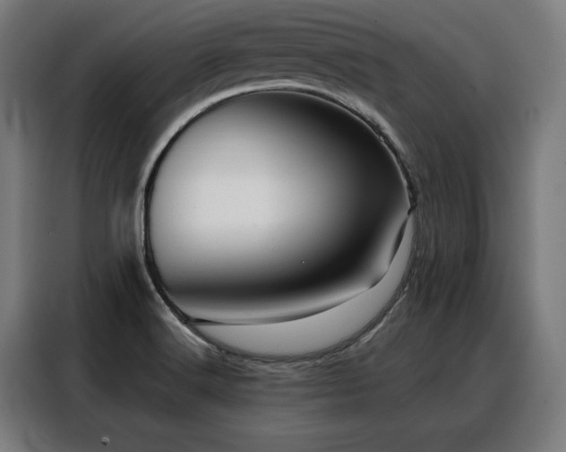 X0000088381516200705221043