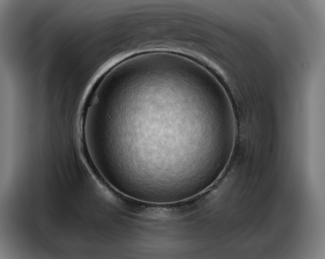 X0000088381517200705221043