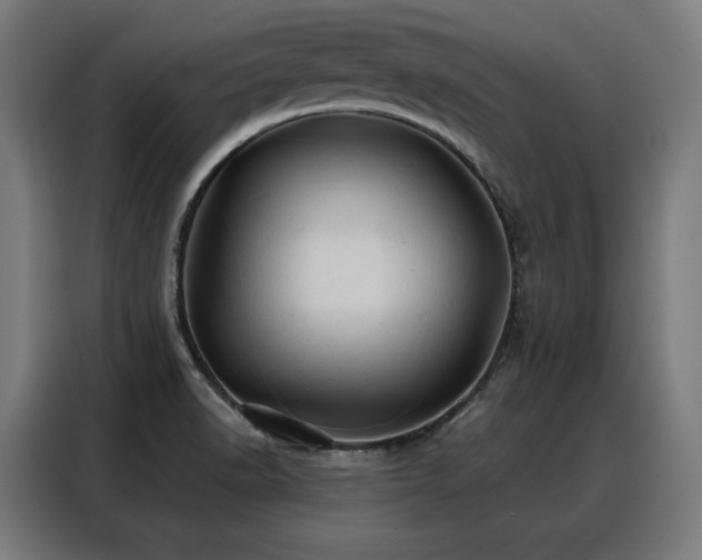 X0000088381518200705221043