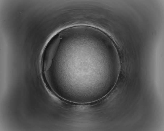 X0000088381519200705221043