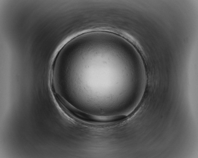 X0000088381520200705221043