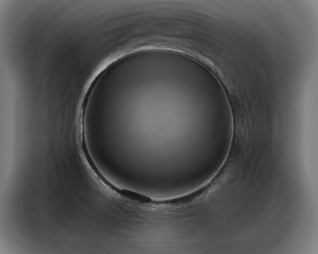 X0000088381522200705221043