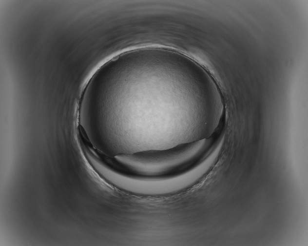 X0000088381524200705221043
