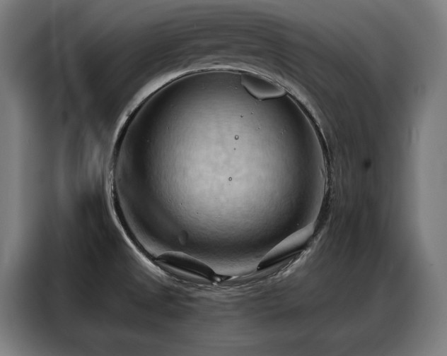 X0000088381525200705221043