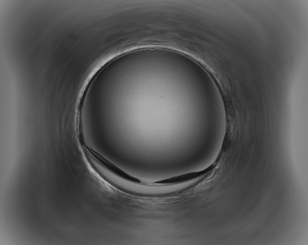 X0000088381527200705221043