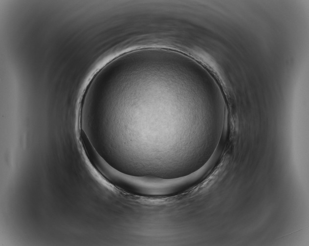X0000088381528200705221043