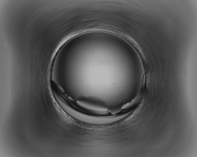 X0000088381530200705221043