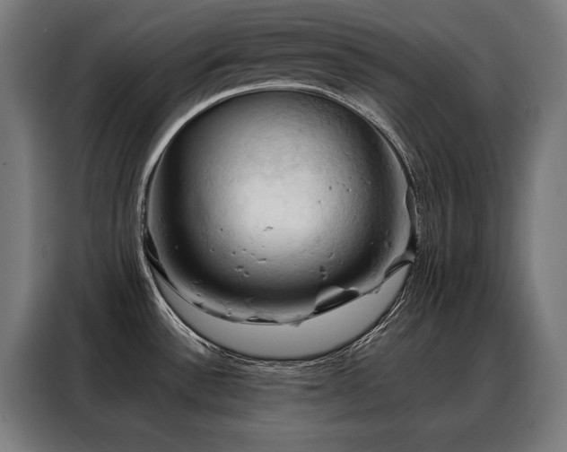 X0000088381532200705221043