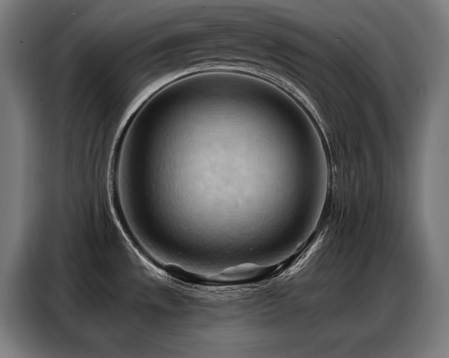 X0000088381533200705221043