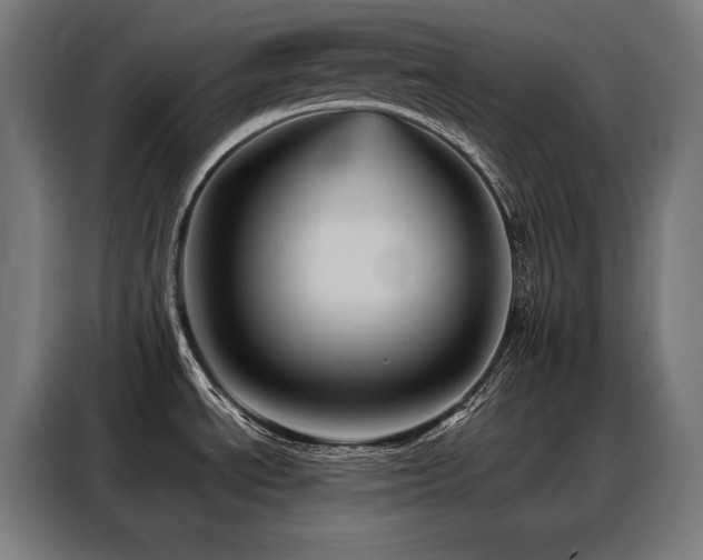X0000088381534200705221043