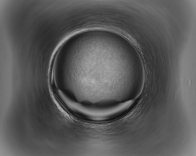 X0000088381536200705221043